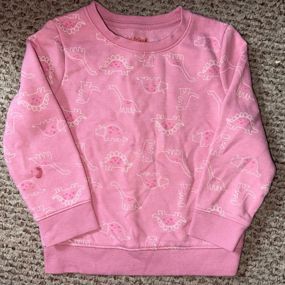 Toddler Pink Dinosaur Sweatshirt